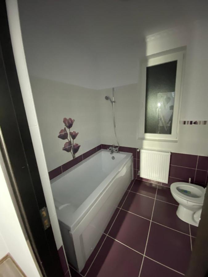 Luxury Apartment Satu Mare Buitenkant foto