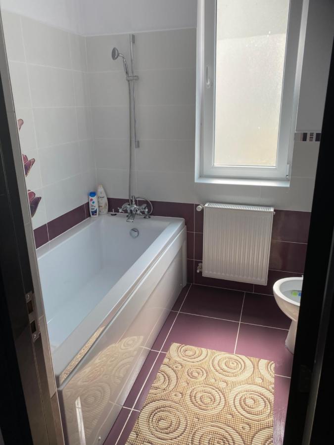 Luxury Apartment Satu Mare Buitenkant foto