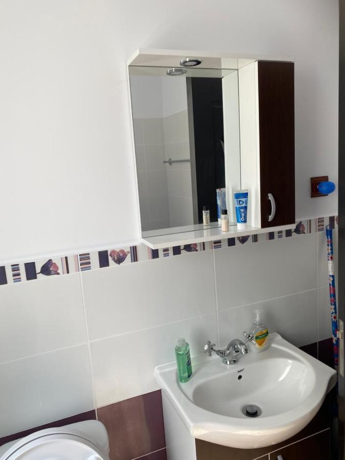 Luxury Apartment Satu Mare Buitenkant foto